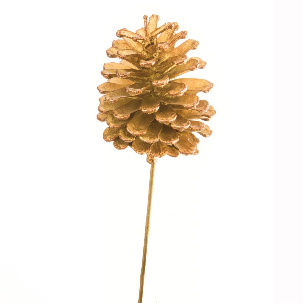 D209407S_1.jpg img